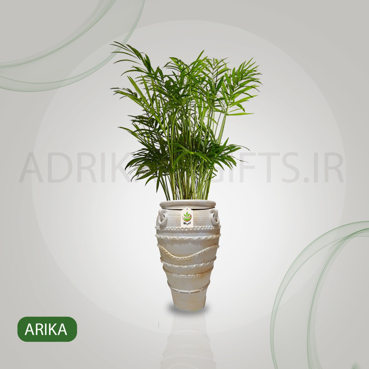 گیاه طبیعی اریکا با گلدان پتینه آدریکا
