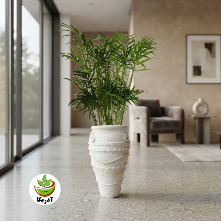 گیاه طبیعی اریکا با گلدان پتینه آدریکا